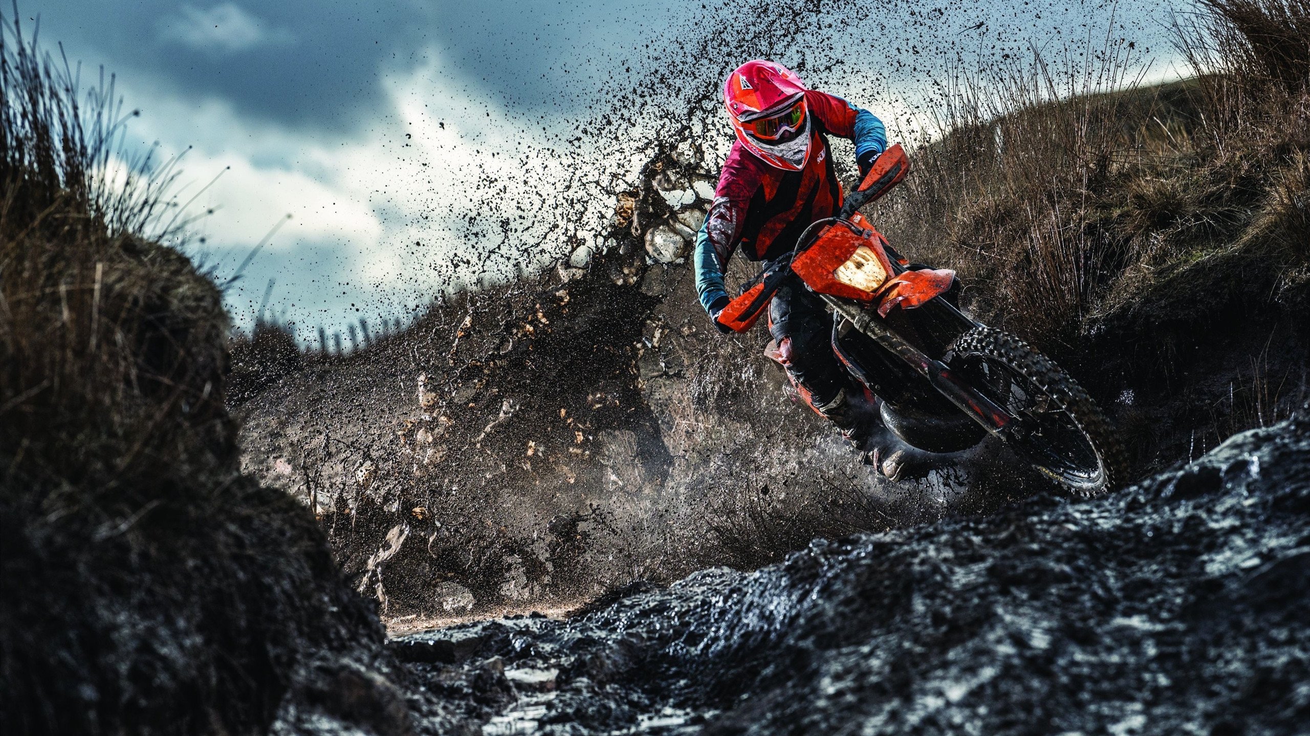 日本马术协会设立青少年马术奖学金，支持优秀学员发展。，日本马术障碍赛